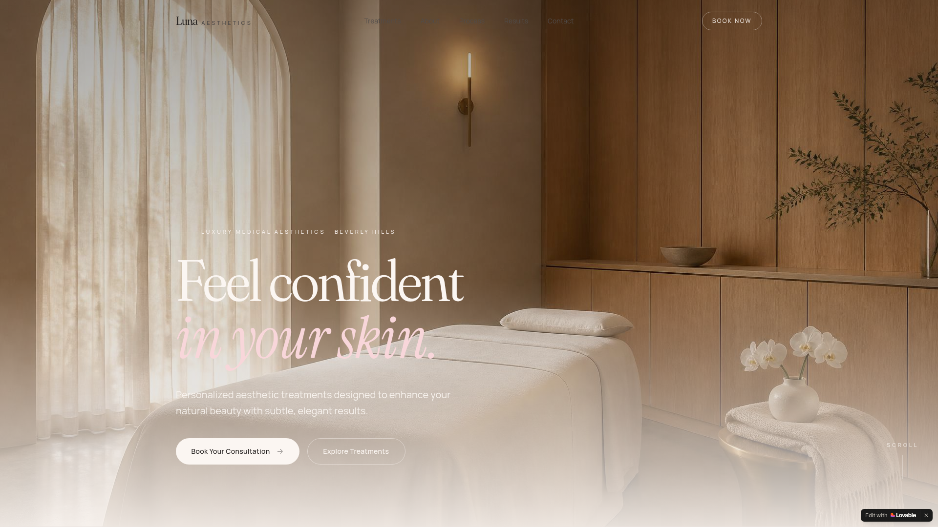 Luna Aesthetics website screenshot